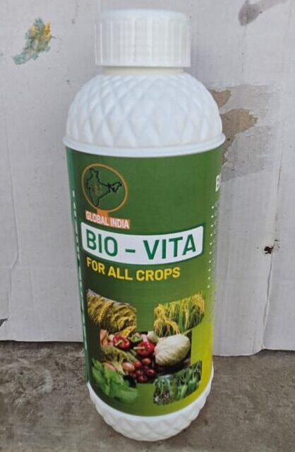 WhatsApp Image 2026-01-10 at 7.36.52 PM (1)