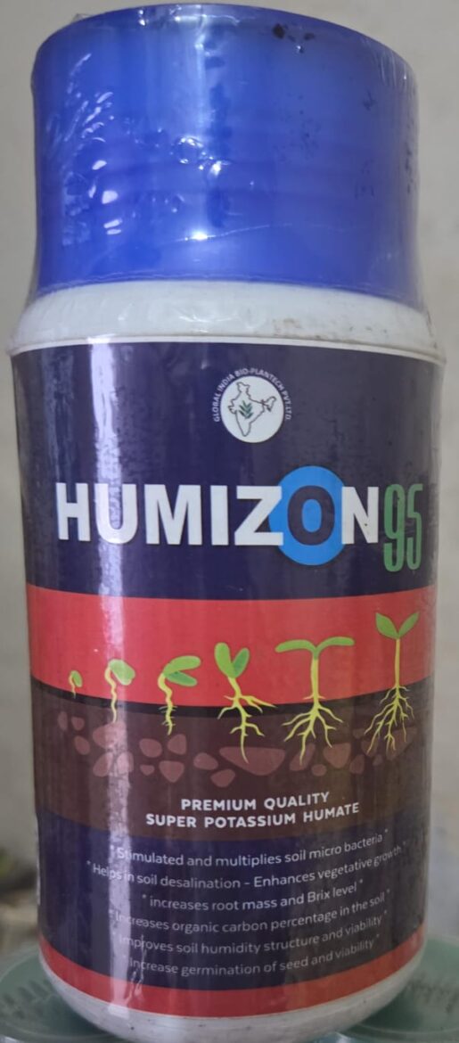 WhatsApp Image 2026-01-10 at 7.36.53 PM