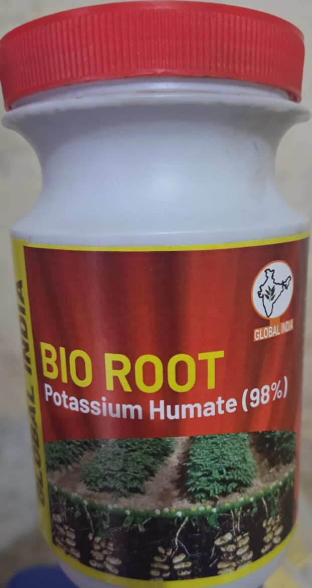 WhatsApp Image 2026-01-10 at 7.36.54 PM (1)