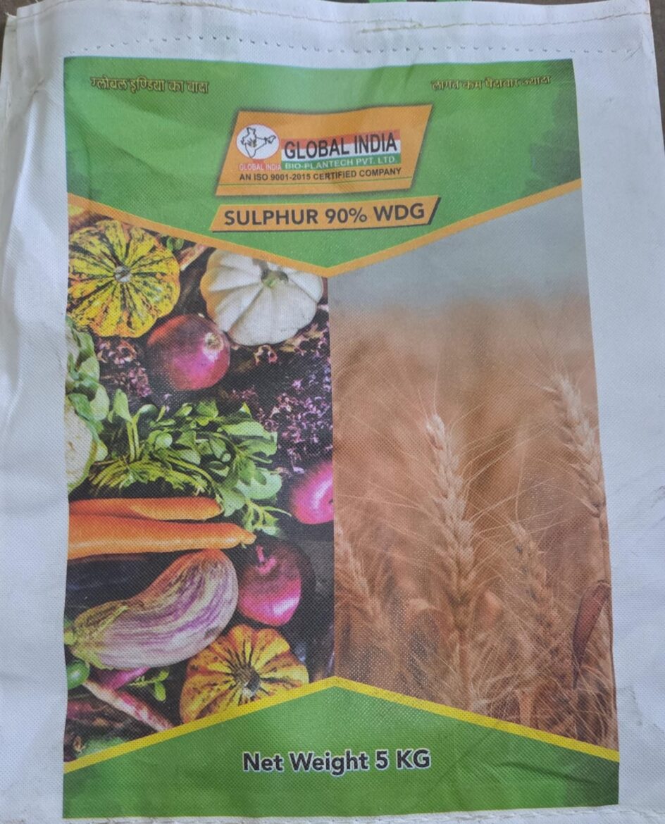 WhatsApp Image 2026-01-10 at 7.36.56 PM (1)