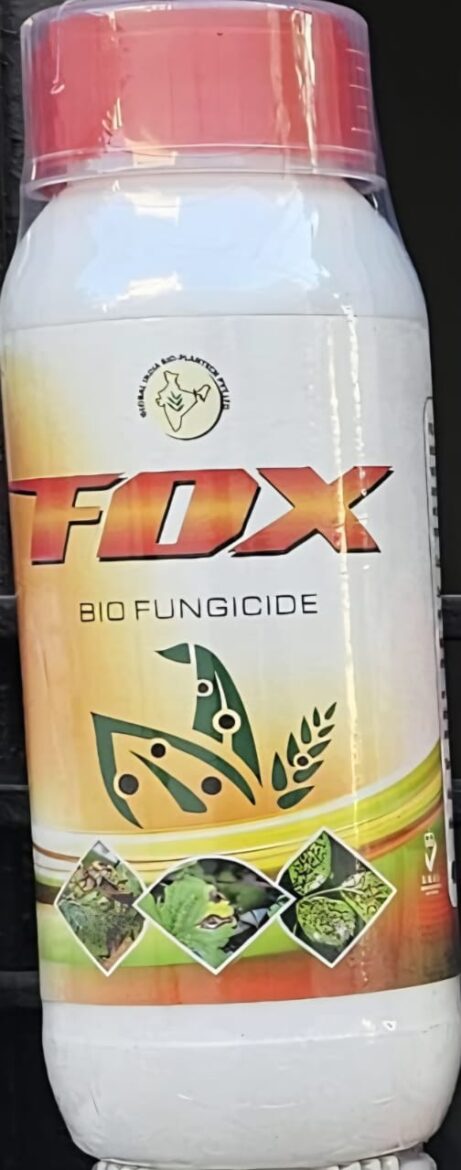 WhatsApp Image 2026-01-13 at 9.03.24 PM (2)