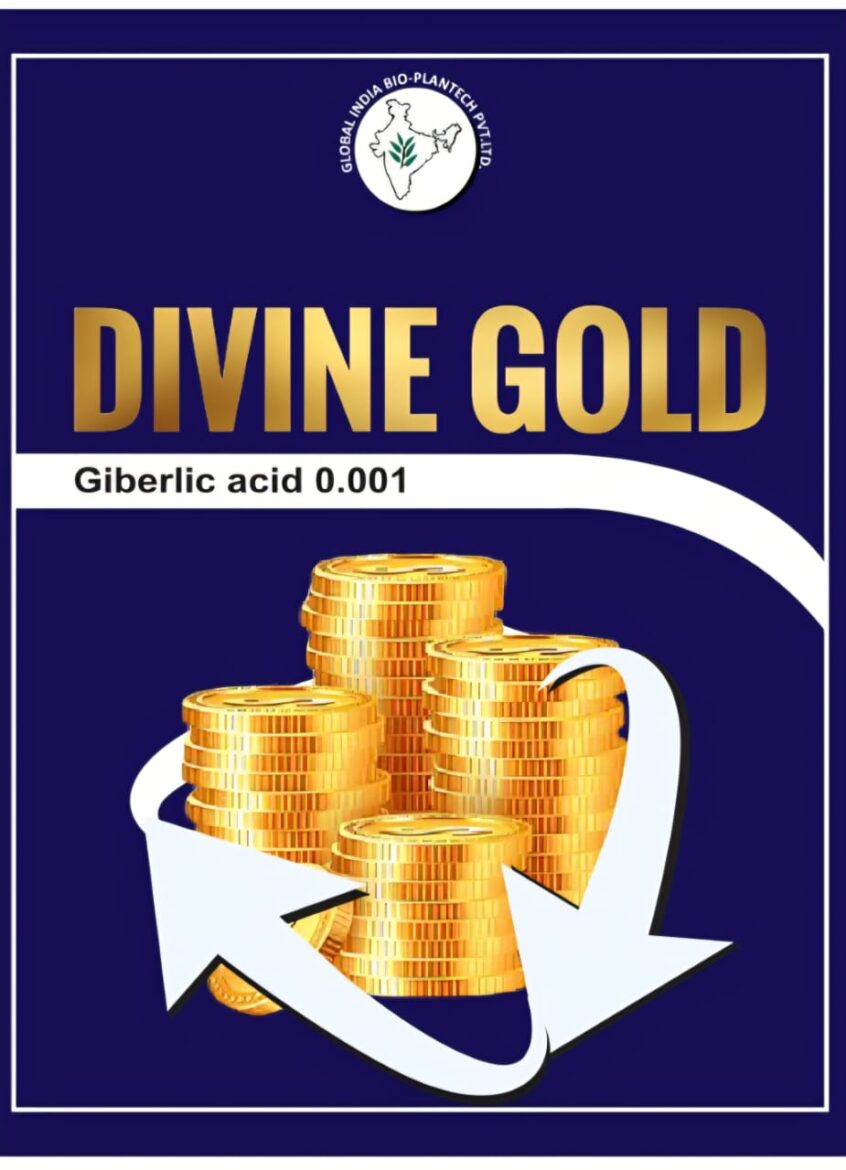 WhatsApp Image 2026-01-13 at 9.03.25 PM (1)